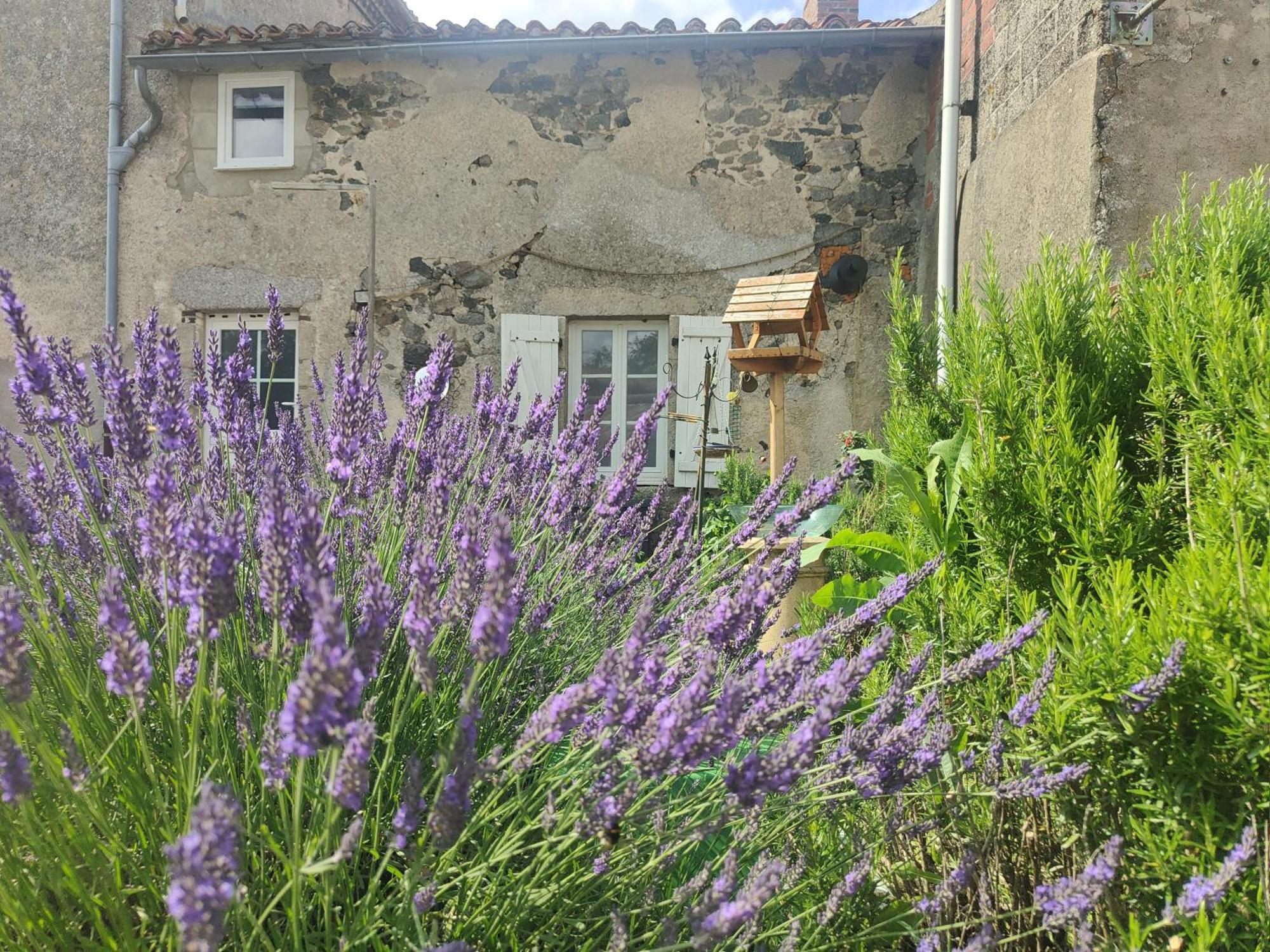 Bed and Breakfast Wisteria House Chanteloup  Exteriér fotografie