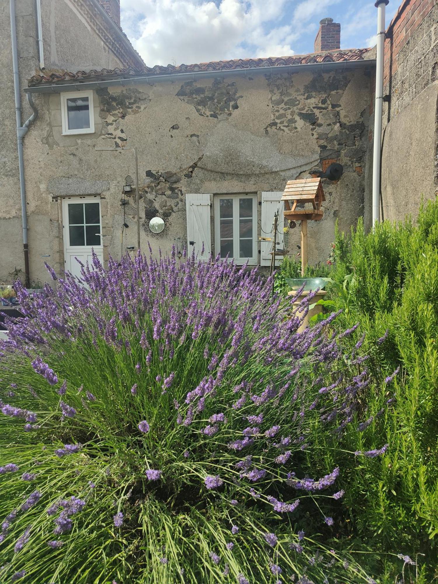 Bed and Breakfast Wisteria House Chanteloup  Exteriér fotografie