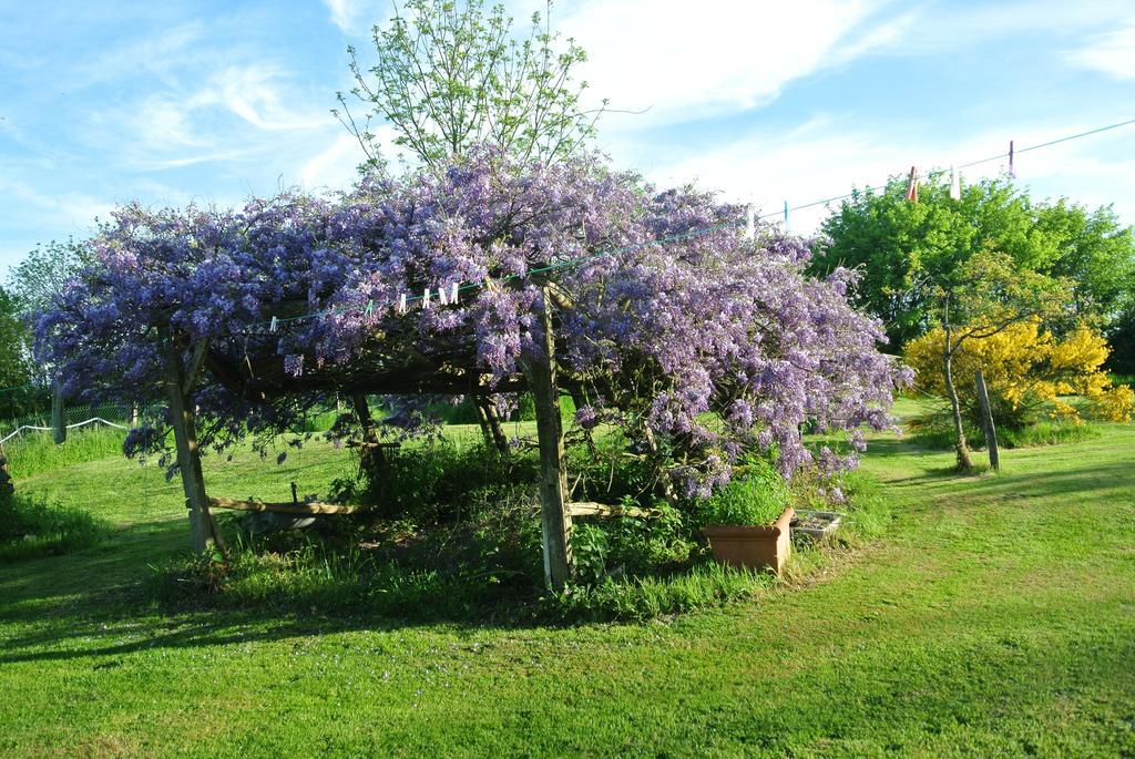 Bed and Breakfast Wisteria House Chanteloup  Exteriér fotografie